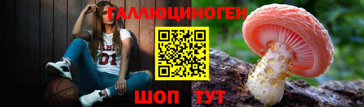 Псилоцибиновые грибы Psilocybine cubensis Муром